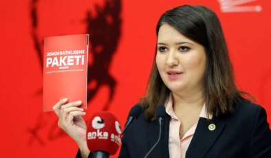 CHP’li Gökçe Gökçen’den komisyona çağrı: ‘Kayyumlar konusunda karar verebilir’