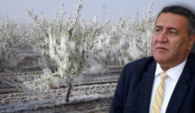 CHP’li Gürer’den zirai don tepkisi: ‘Dayanacak gücümüz kalmadı’