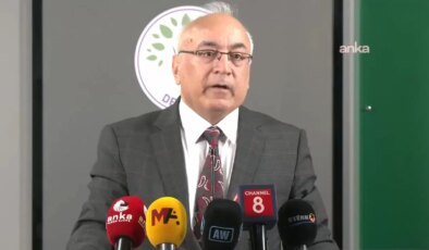 DEM Partili Türkdoğan’dan komisyona çağrı: ‘Bu sürecin başmüzakerecisinin görüşlerini de almak durumundasınız’