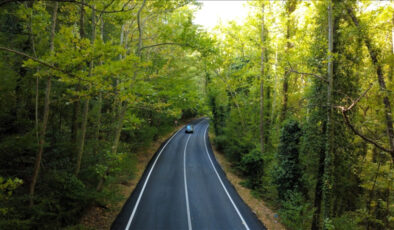 Doğanın içinde gizli yol: Safranbolu’nun ağaç tüneli