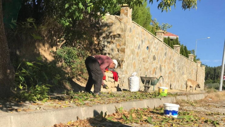 Erzincan’da zorlu hasat başladı: Kilosu 200 TL’den satılıyor…