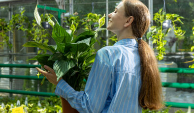 Evdeki hijyen destekçileri: Nemi ve havayı temizleyen 5 bitki