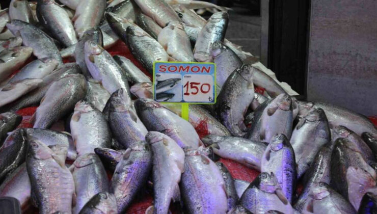 Fiyatları indi, vatandaş “fakirin eti” dedi: “Etten, tavuktan ucuz”