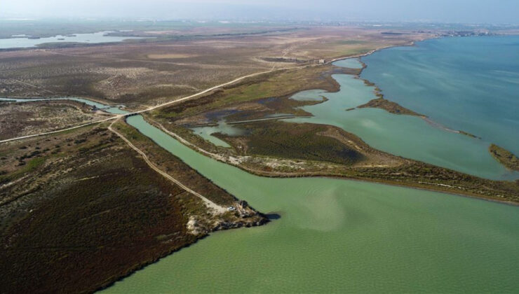 Göçmen kuşların evi: Göksu Deltası