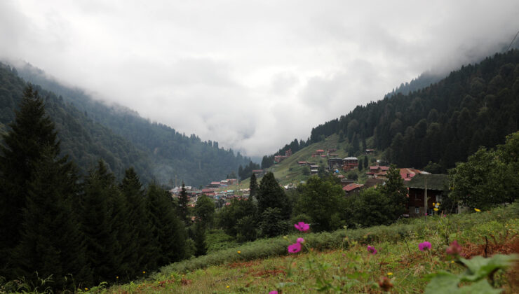 Gören hayran oluyor: Karadeniz yaylalarında sis manzarası izlenebilecek en güzel 8 yer
