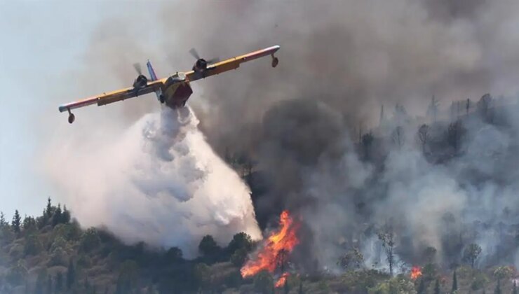 Greenpeace’ten hükümete teşvik eleştirisi: ‘O rakamlarla 650 yangın söndürme uçağı alınabilirdi’