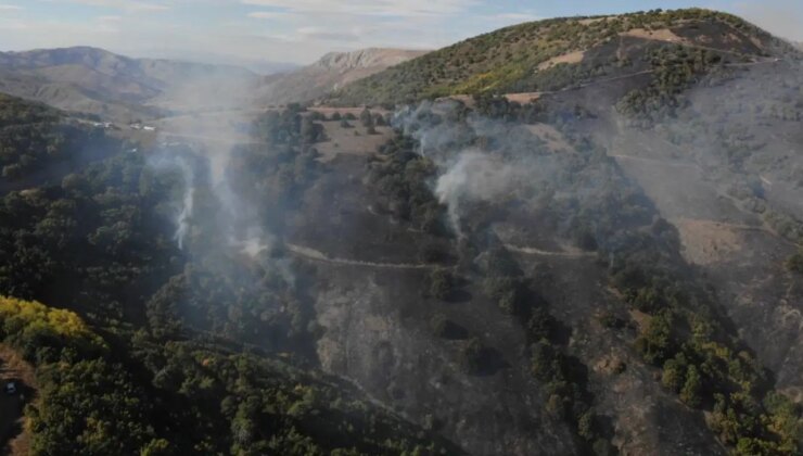 Gümüşhane’de çıkan orman yangını söndürüldü