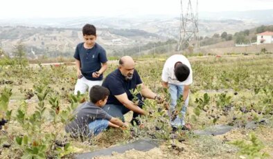 Hastalığına çare bulmak için ekti, üreticisi oldu! Dalında yok satıyor…