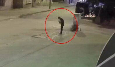 Hayvana şiddet bitmiyor: Sokak ortasında yavru kediye işkence!