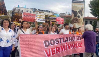 Hayvanseverler dostları için sokakta: ‘Hayvan düşmanı politikalar hız kesmeden gündemi işgal ediyor’