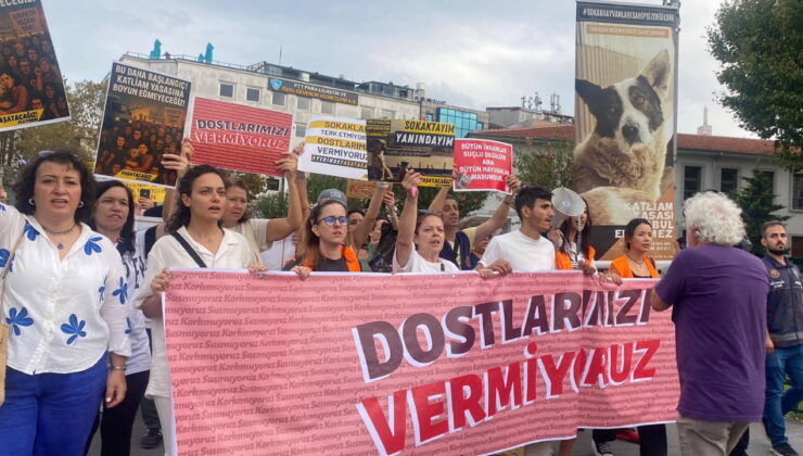 Hayvanseverler dostları için sokakta: ‘Hayvan düşmanı politikalar hız kesmeden gündemi işgal ediyor’