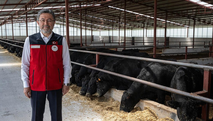 İbrahim Yumaklı: Büyükbaş ve küçükbaş hayvan sayısında artış yaşandı