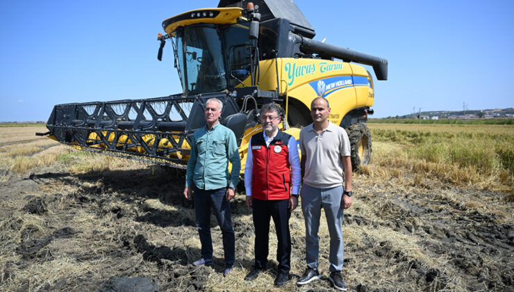 İbrahim Yumaklı: Çeltikte 2025 yılı için 988 bin tonluk bir rekolte bekliyoruz