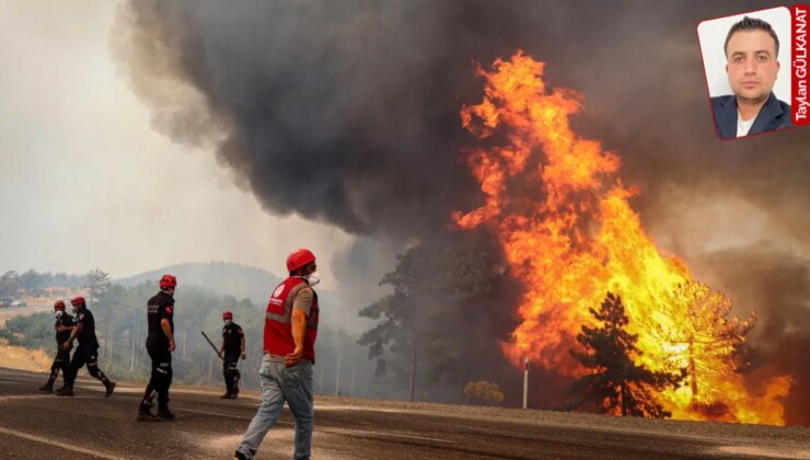 İktidarın yangınla mücadele yöntemi: ‘Ögretmeni okula değil ormana gönder’