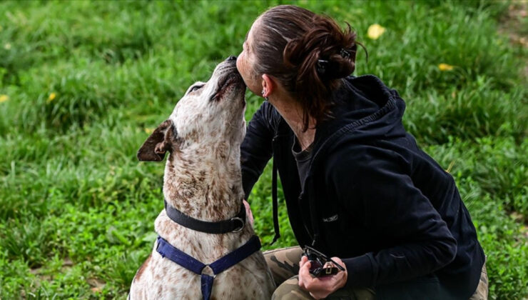 İtalya’da “köpek” vergisi: 2026’da başlıyor