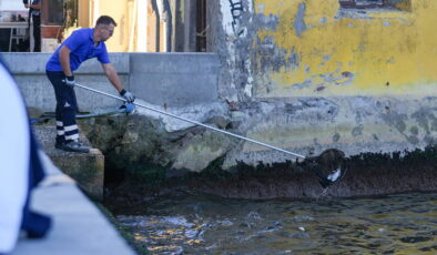 İzmir Körfezi’nde ölü balıklar iskelelere vurdu!