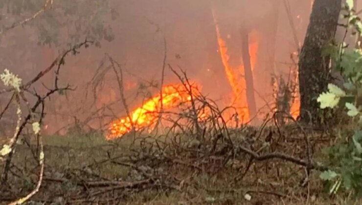 Karabük’te orman yangını… Örtü yangını ormana sıçradı!