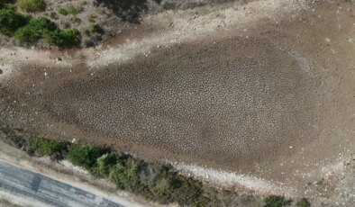 Kırklareli’ndeki Taşlık Göleti kuraklık nedeniyle kurudu!