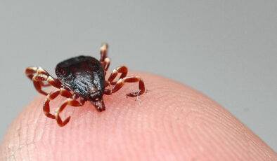 KKKA’da 110 hastadan 100’ü kurtarıldı