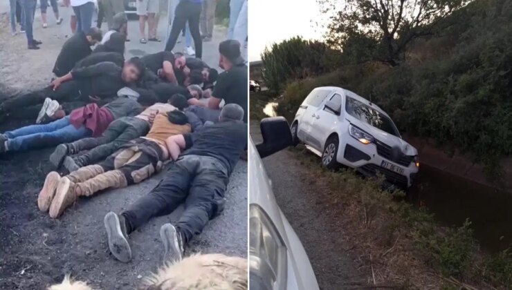 Koyun sürüsüne çarpınca aracı ve yasadışı göçmenleri bırakıp kaçtı