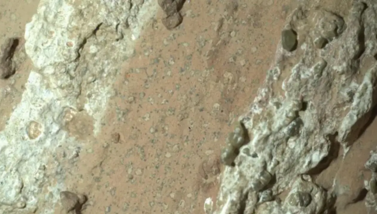 Mars’ın ‘leopar desenli’ kayalarında geçmiş yaşamın izleri bulunmuş olabilir