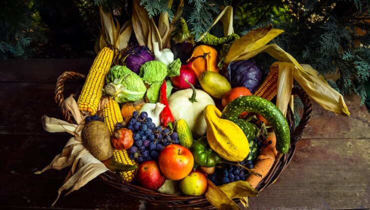 Mevsim geçişlerinde enerjinizi yüksek tutarak sağlığınızı koruyun: Sonbaharda sağlıklı beslenmenin püf noktaları