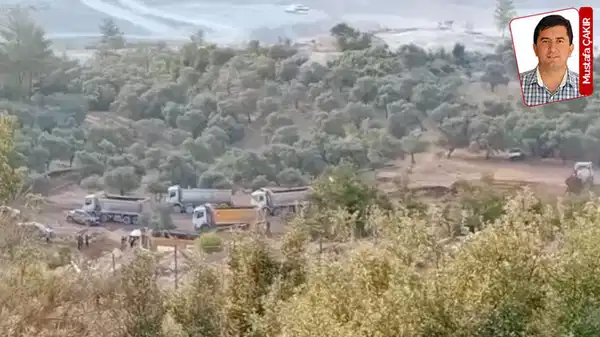 Milas’ta maden kıskacı: Zeytin gurbete, köylü belirsizliğe