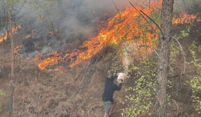 Muğla Köyceğiz ve Alanya Yaylakonak yangınları kontrol altına alındı