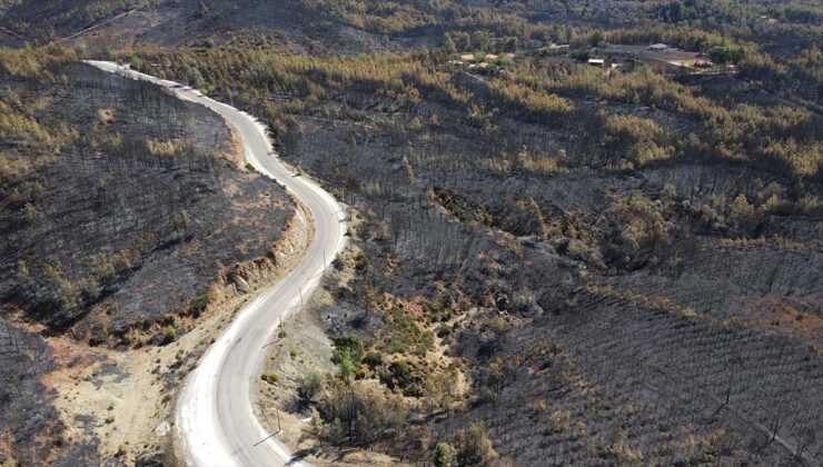 Muğla Köyceğiz’deki orman yangını sonrası acı tablo görüntülendi
