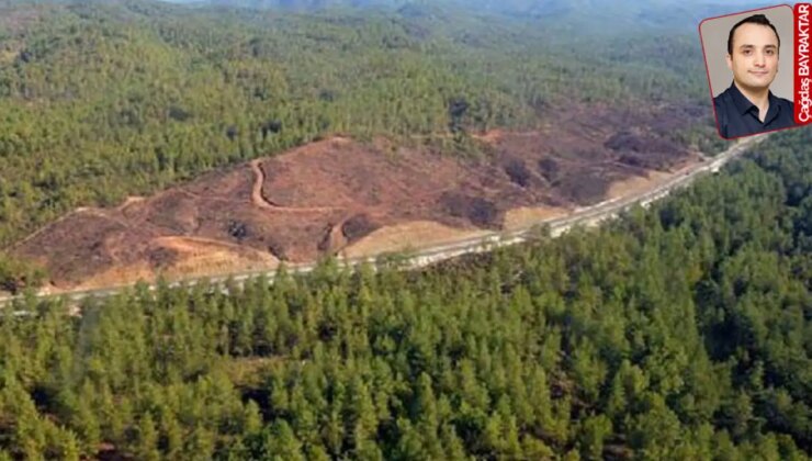 Muğla’nın yüzde 10’u madene teslim: “Datça ve Bodrum kadar yere maden ruhsatı”