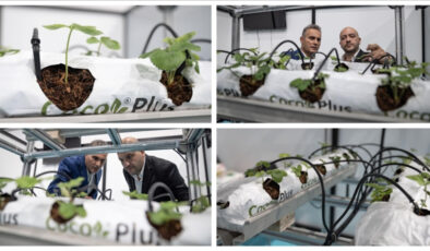 Mühendis kardeşlerden yenilikçi tarım çözümü