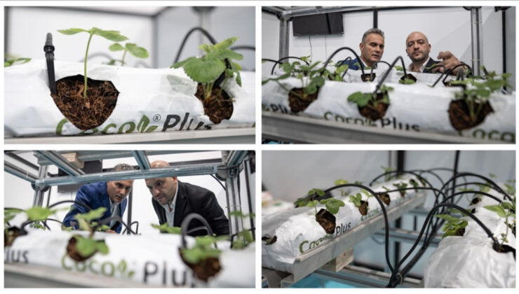 Mühendis kardeşlerden yenilikçi tarım çözümü