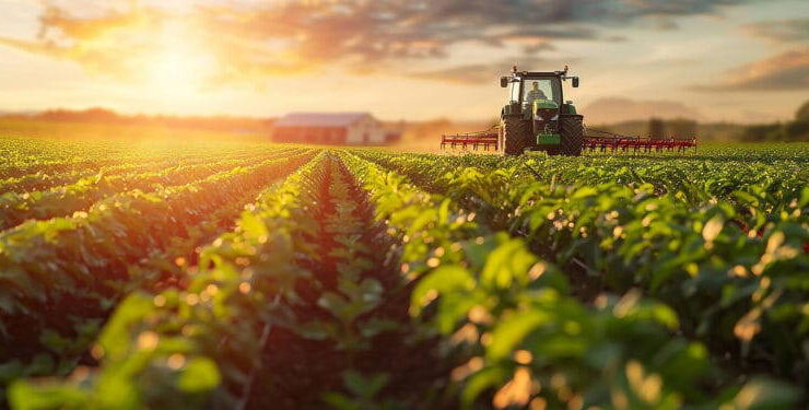 Orhan Sarıbal: ‘Orta Vadeli Program’da tarıma destek kırpıldı, yük katlandı’