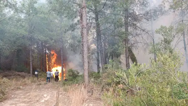 Osmaniye’de orman yangını!
