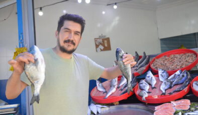 Palamudun yerini aldı: Bu yıl tezgâhların şampiyonu değişti…