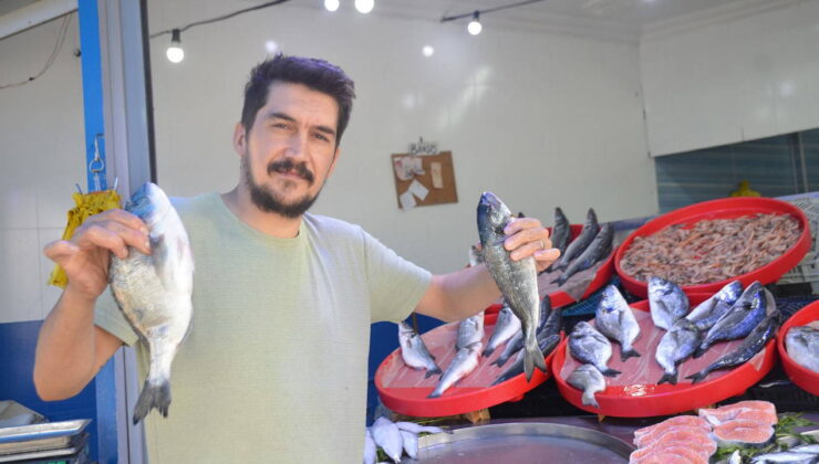 Palamudun yerini aldı: Bu yıl tezgâhların şampiyonu değişti…