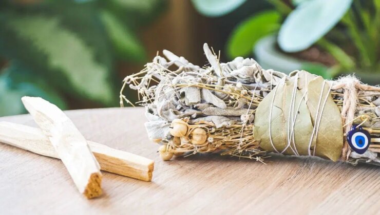 Palo santo nedir? Palo santo ne için kullanılır? Palo santo ne işe yarar?