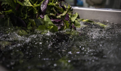 Sağlığınızı riske atmayın: Sebze ve meyvelerdeki pestisit kalıntılarıyla vedalaşın