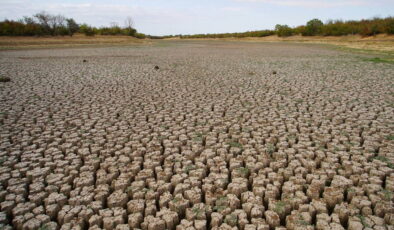 Şerbettar Göleti tamamen kurudu: Besiciler su kaynağı arayışında