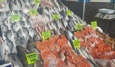 Sezon açıldı, Ege’de balık bereketi başladı