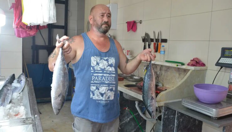 Sinop’ta tezgahlar şenlendi: Tanesi 800 TL…