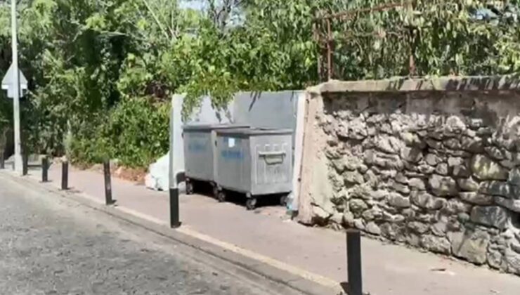 Son dakika… Beşiktaş’ta çöp konteynerinde ‘bebek’ bulunmuştu: Anne tutuklandı!