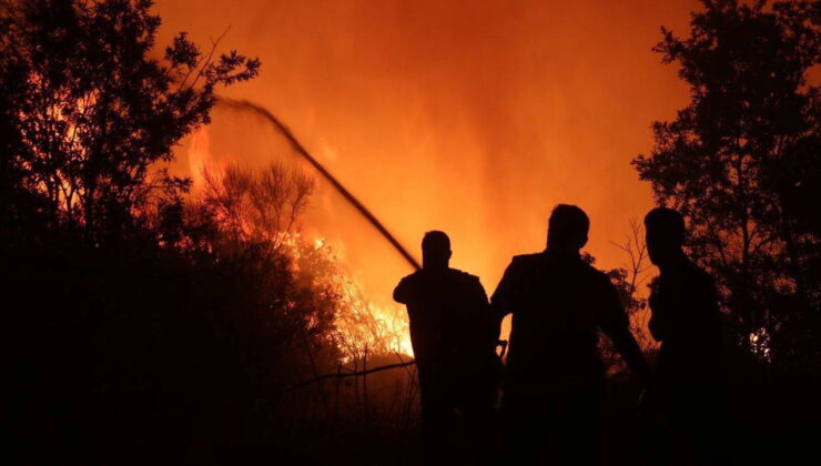 Suriye Lazkiye’de 3 ayrı orman yangını: Rüzgarın etkisiyle büyüdü