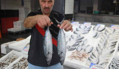 Tanesi 350 lira olunca tezgahın gözdesi bu sene değişti!