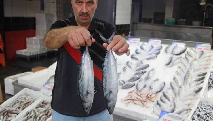 Tanesi 350 lira olunca tezgahın gözdesi bu sene değişti!