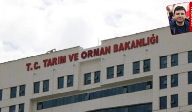 Tarım Bakanlığı’ndan ‘üretimi teşvik primi’: İlgisiz personele milyonlarca teşvik