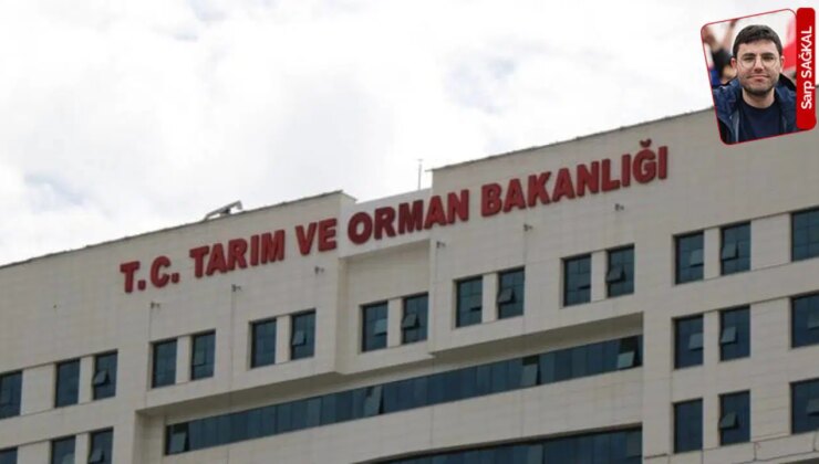 Tarım Bakanlığı’ndan ‘üretimi teşvik primi’: İlgisiz personele milyonlarca teşvik