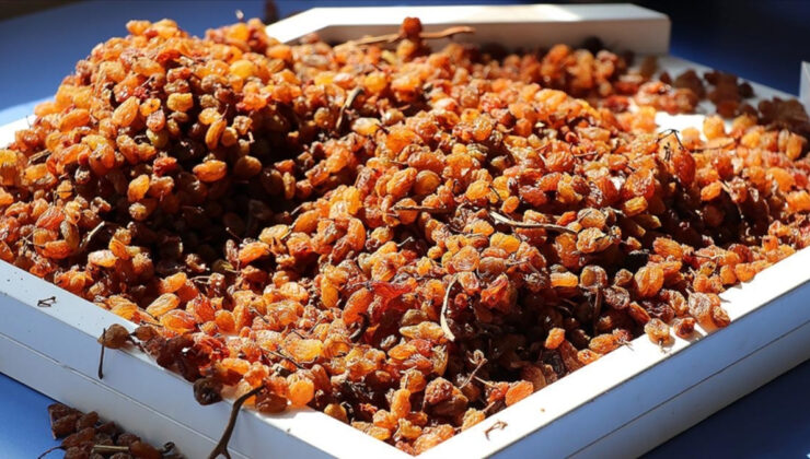 TMO’nun çekirdeksiz kuru üzüm alım fiyatı: 120 lira