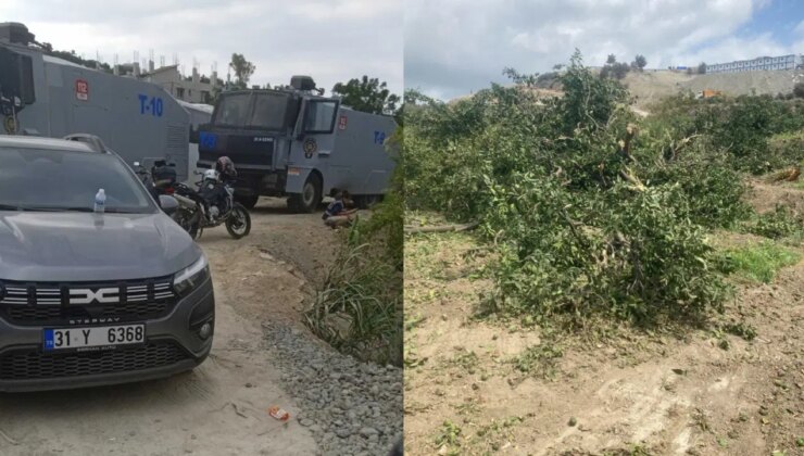 TOKİ için acil kamulaştırılmıştı… Mahkeme kararı beklenmeden ağaç kesimi yapıldı!