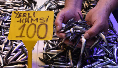Trabzon’da hamsi ve istavritin kilogramı 100 lira
